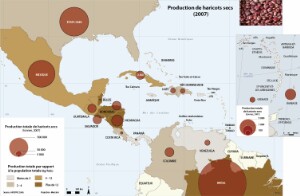 11-14-4_Agri-haricot_FR